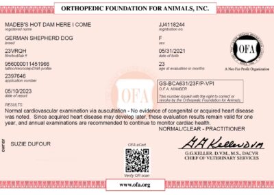 Iona Certificat OFA Heart Disease