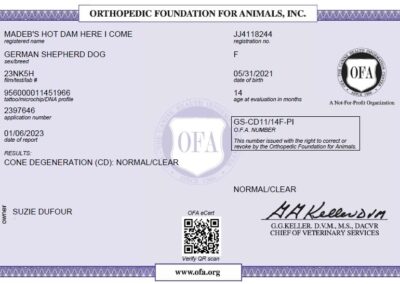 Iona Certificat OFA Code Degeneration