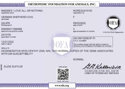 Iona Certificat OFA Degenerative Myelopathy