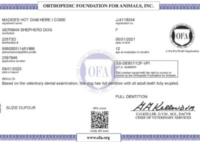 Iona Certificat OFA Dentition