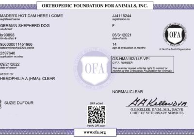 Iona Certificat OFA Hemophilia A 2022