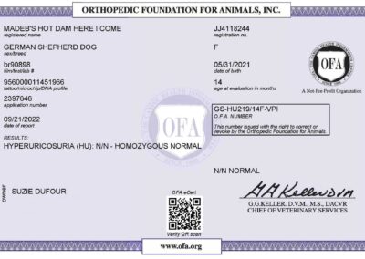 Iona Certificat OFA Hyperruricosuria 2022