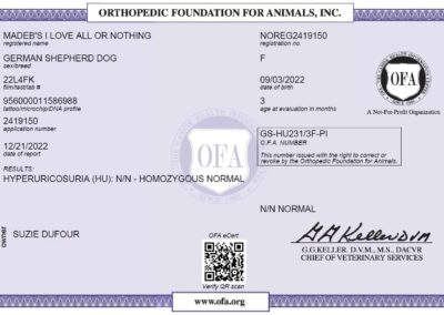 Iona Certificat OFA Hyperruricosuria 2022