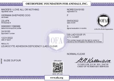 Iona Certificat OFA Leukocyte Adhesion Deficiency 2022