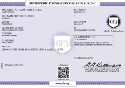 Iona Certificat OFA Leukocyte Adhesion Deficiency 2023