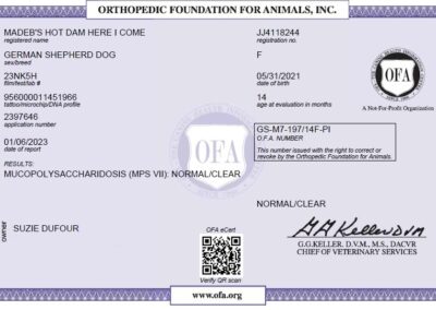 Iona Certificat OFA Mucopolysaccharidosis
