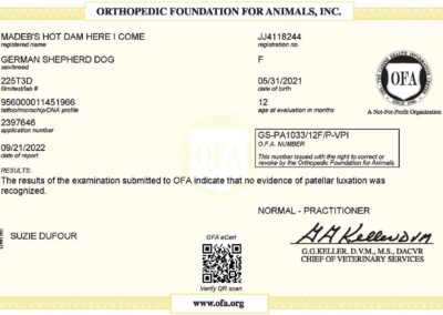 Iona Certificat OFA Patellar Luxation